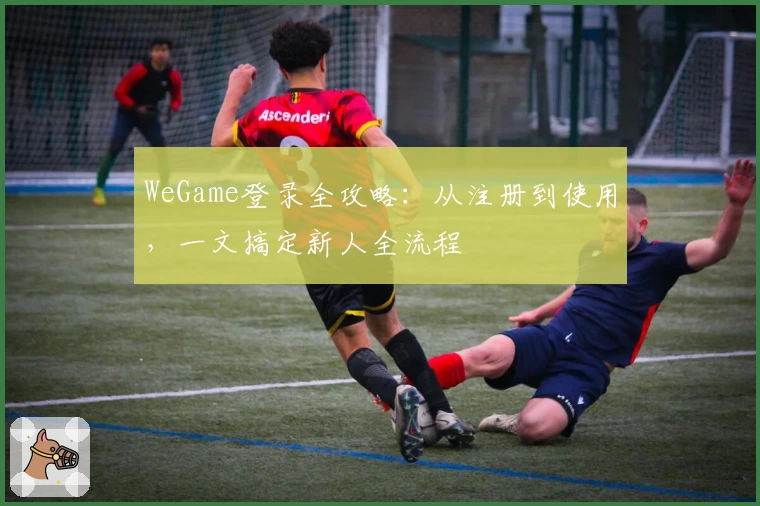 WeGame登录全攻略：从注册到使用，一文搞定新人全流程