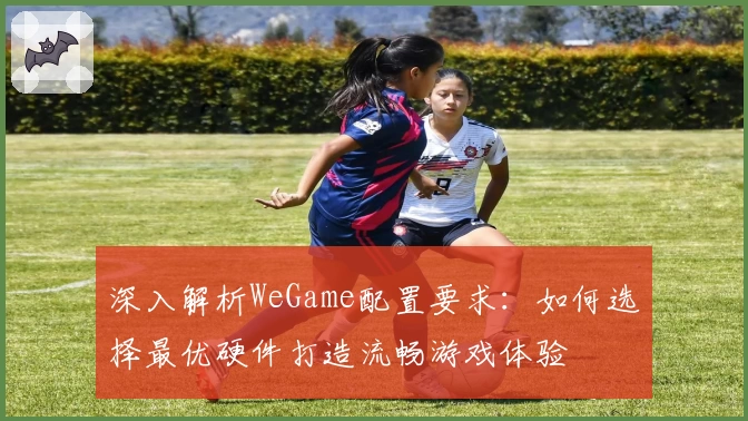 深入解析WeGame配置要求：如何选择最优硬件打造流畅游戏体验